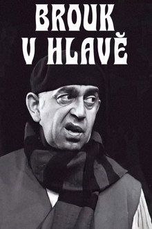 Brouk v hlavě