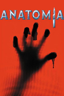 Anatomia