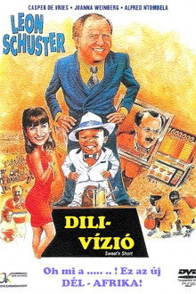 Dili-vízió