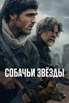 Собачьи звёзды
