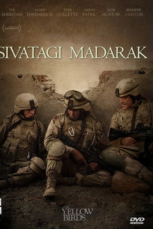 Sivatagi madarak