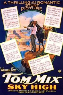 Poster do filme Sky High