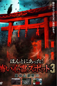 ほんとにあった！怖い心霊スポット３　最期の霊戦？！