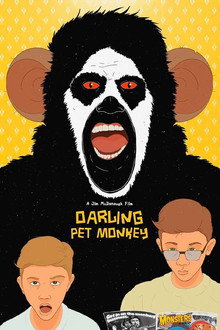 Darling Pet Monkey