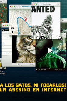 A los gatos, ni tocarlos: Un asesino en Internet