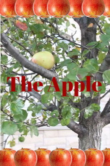 The Apple