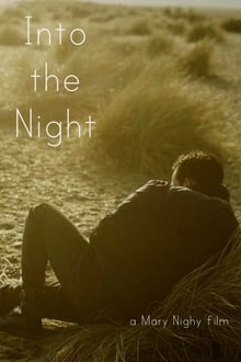Poster do filme Into the Night