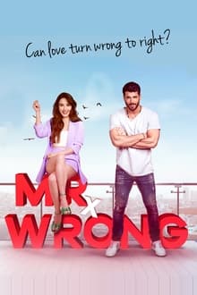 Mr. Wrong tv show poster