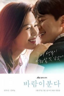 Poster da série 유리화