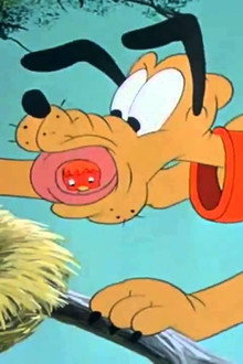 Pluto istruttore di volo
