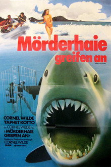 Mörderhaie greifen an