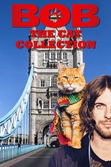 Bob The Cat Collection