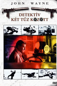 Detektív két tűz között