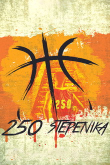 250 stepenika