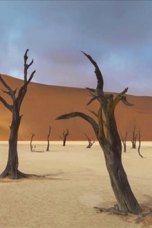 Abenteuer-Namibia