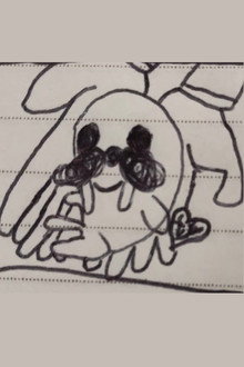 The Walrus