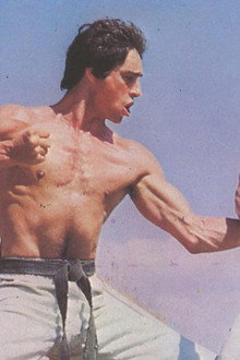 Bruce's Fists Of Vengeance