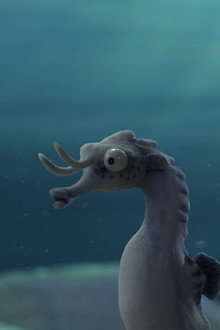 The Lost Seahorse