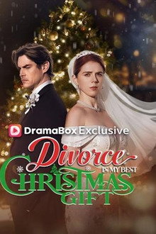Divorce Is My Best Christmas Gift