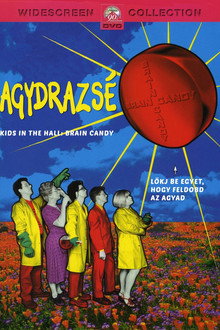Agydrazsé