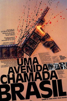 An Avenue Called Brazil