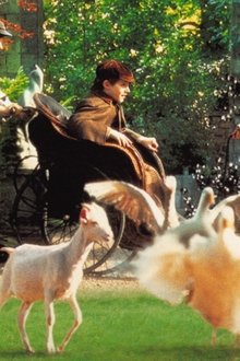 The-Secret-Garden