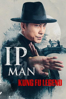 Ip Man Kung Fu Legend