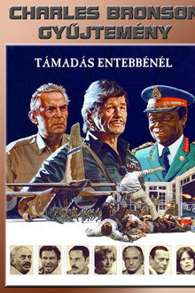 Támadás Entebbe-nél