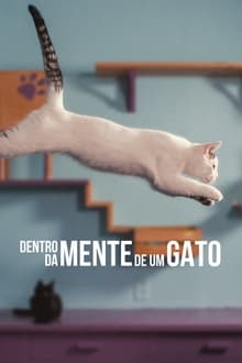 Poster do filme Dentro da Mente de um Gato