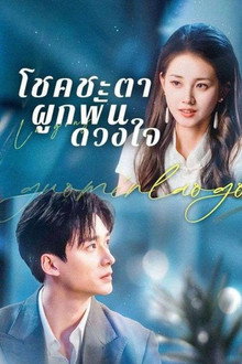 สามีแห่งชาติของฉัน