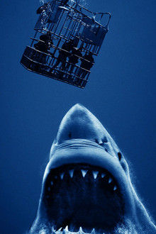 Open-Water-3---Cage-Dive