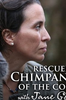 Rescued-Chimpanzees-of-the-Congo-with-Jane-Goodall