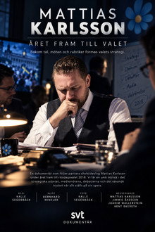 Mattias Karlsson: Året fram till valet