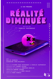 Réalité Diminuée