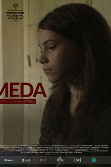Meda