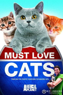 Animal Planet: Must Love Cats