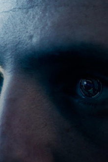 Sight