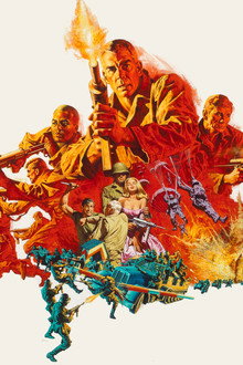 The Dirty Dozen