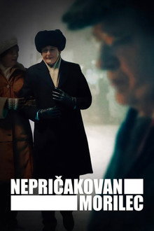 Mini serija