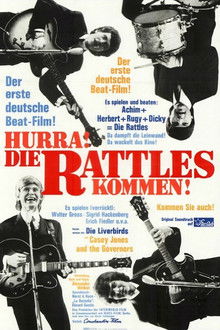 Hurra, die Rattles kommen