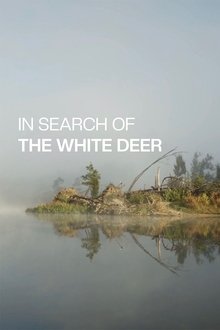In Search of the White Deer