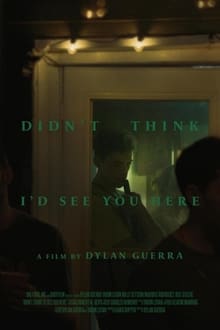 Poster do filme Didn't Think I'd See You Here