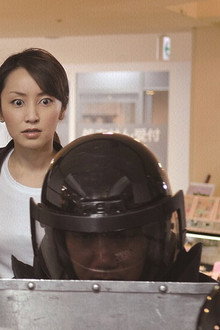 刑事・鳴沢了シリーズ（フジテレビ版）