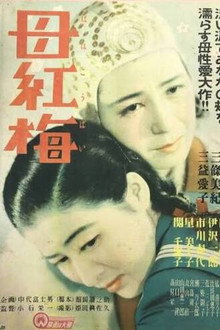 母紅梅