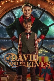 David and the Elves movie poster