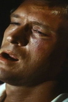 Knots Landing - Season 4