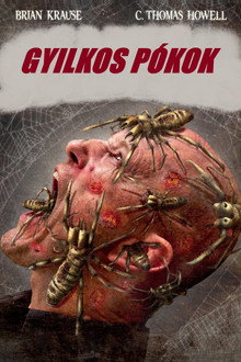 Gyilkos pókok