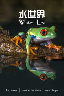Water Life A World of Water