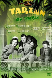Tarzan New Yorkban