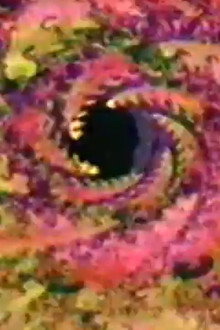 Dr. Devious: More Dance in Cyberspace